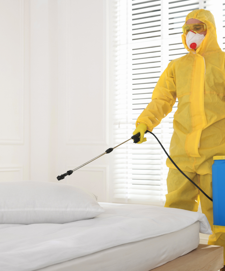Professional Pest Control Team in Aldgate